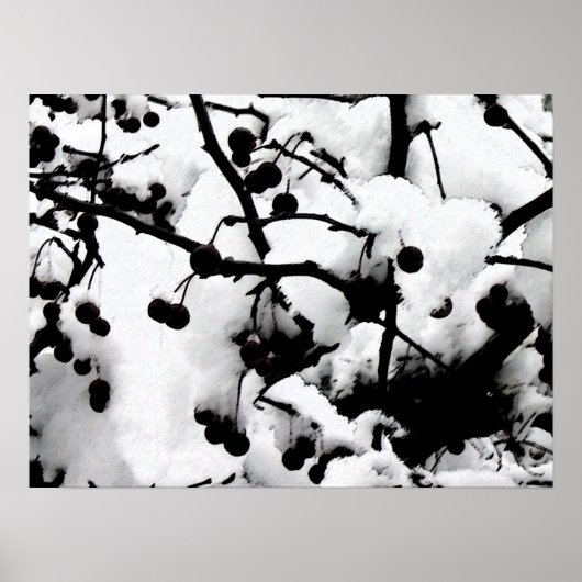 初雪 ポスター (正面)