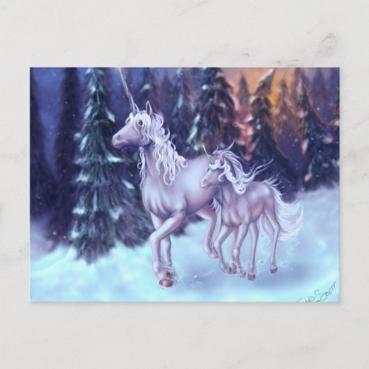 初雪 ポストカード (正面)