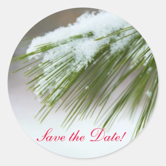 初雪 ラウンドシール (正面)