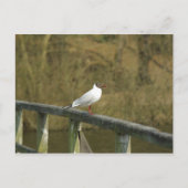 判型 – はがき (正面)