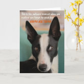 判定犬おもしろい誕生日グリーティングカード カード (黄色い花)