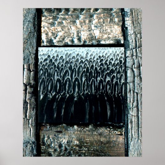 判決日 ポスター (正面)