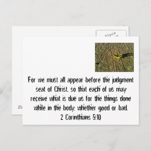 判決日 ポストカード (正面/裏面)