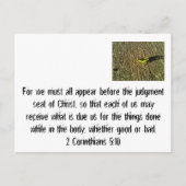 判決日 ポストカード (正面)