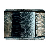 判決日 マグネット (横)