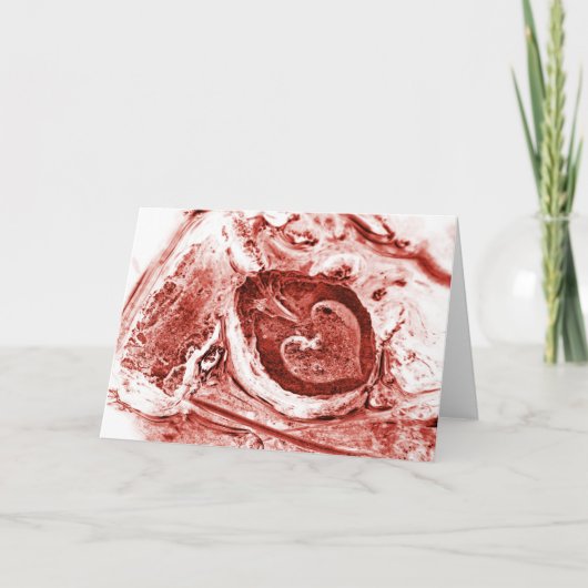 別々に シーズンカード (正面)