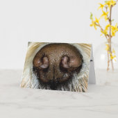 別に「詮索好き」なわけじゃないんだけど、**40**歳になっても大丈夫? カード (黄色い花)