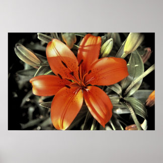 別のオレンジ色のショット ポスター