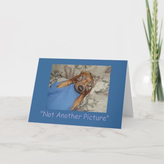 別の写真 カード (正面)