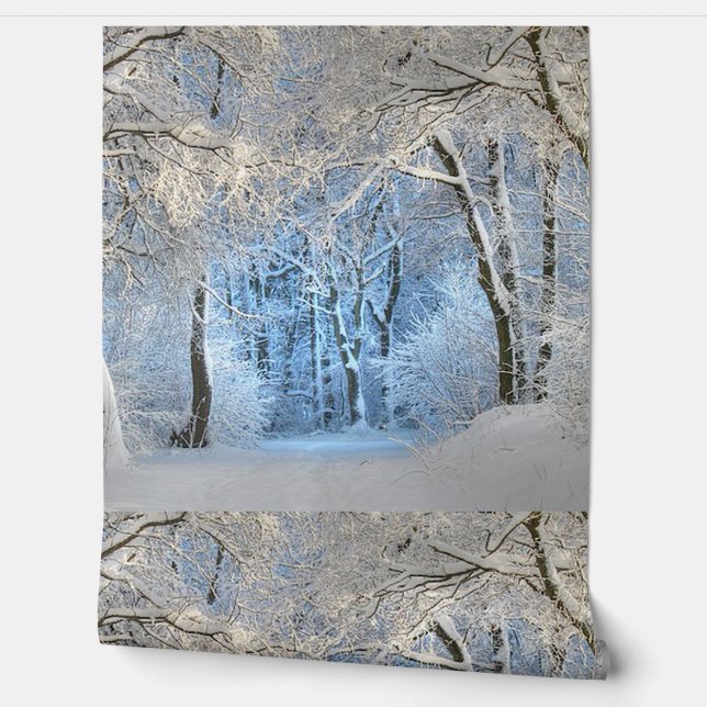 別の冬の不思議の国 壁紙 (ほどく)