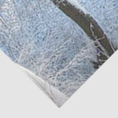 別の冬の不思議の国 薄葉紙 (詳細)