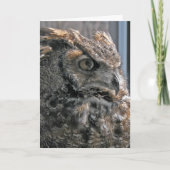 別の年より賢い カード (正面)