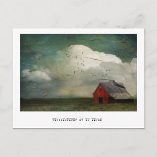 別の戦いには勝てない –  ポストカード