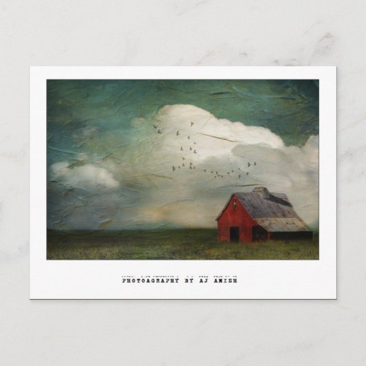 別の戦いには勝てない –  ポストカード (正面)