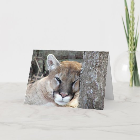 別の月曜日のクーガー カード (正面)