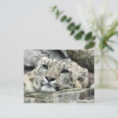 別の月曜日のユキヒョウ ポストカード (スタンド正面)