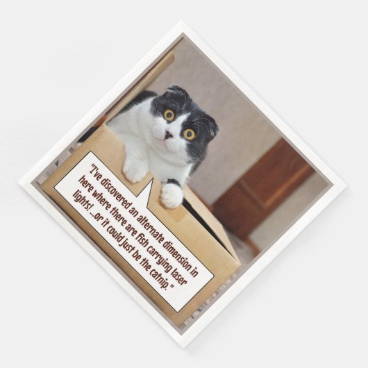 別の次元 (コーナー)