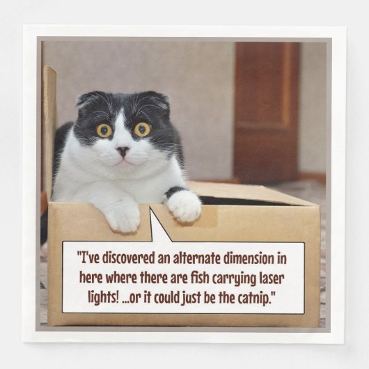 別の次元 (正面)