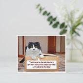 別の次元 ポストカード (スタンド正面)