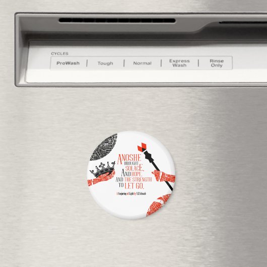 別の磁石 マグネット (インサイチュ (食洗機))