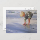 別の素晴らしシェル ポストカード (正面/裏面)