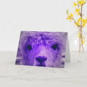 別の色のアルパカ カード (黄色い花)