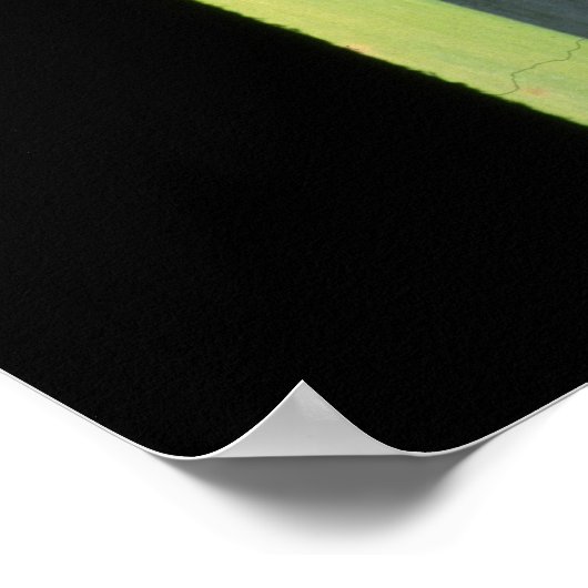 別の虹ユーカリ ポスター (角)