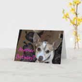 別の誕生日か。 カード (黄色い花)