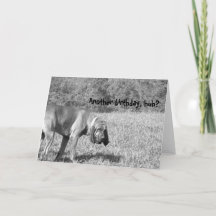 別の誕生日か?ハウンドッグ誕生日カード