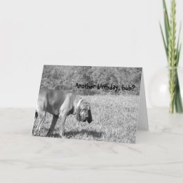 別の誕生日か?ハウンドッグ誕生日カード 招待状