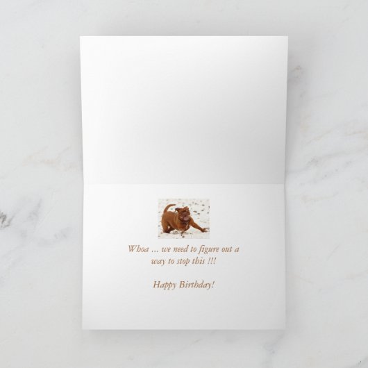 別の誕生日この犬のストップあいさつきを必要とする カード (内部)