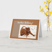 別の誕生日この犬のストップあいさつきを必要とする カード (黄色い花)