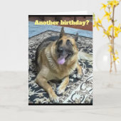 別の誕生日ドイツの羊飼いグリーティングカード カード (黄色い花)