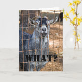 別の誕生日? カード (黄色い花)