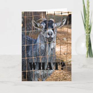 別の誕生日? カード