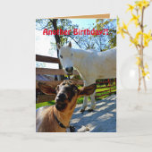 別の誕生日?!ポニーとヤギと カード (黄色い花)