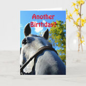 別の誕生日?馬おもしろいグリーティングカード カード (黄色い花)