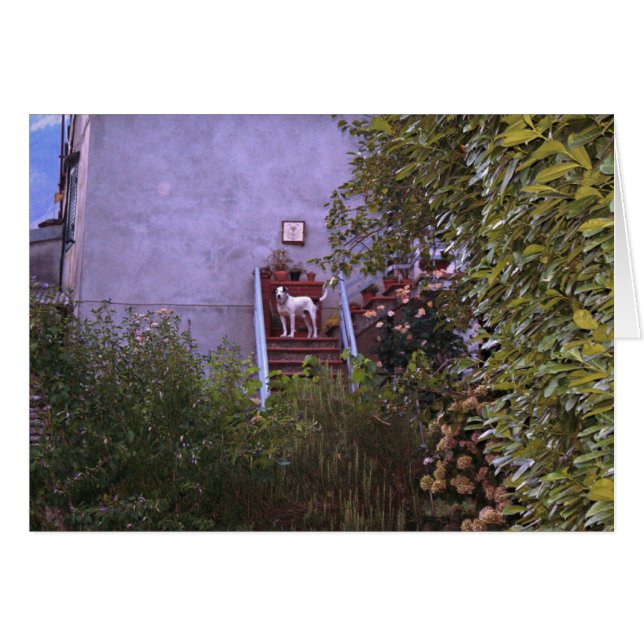 別荘のオーロラ (正面横)