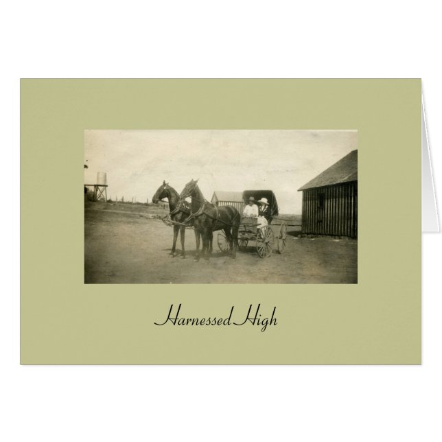 利用された最高 (正面横)