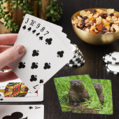 利発な川カワウソ トランプ (インサイチュ)