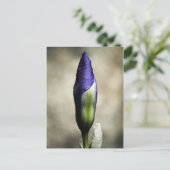 到着美しい葉書 ポストカード (スタンド正面)