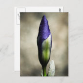 到着美しい葉書 ポストカード (正面/裏面)