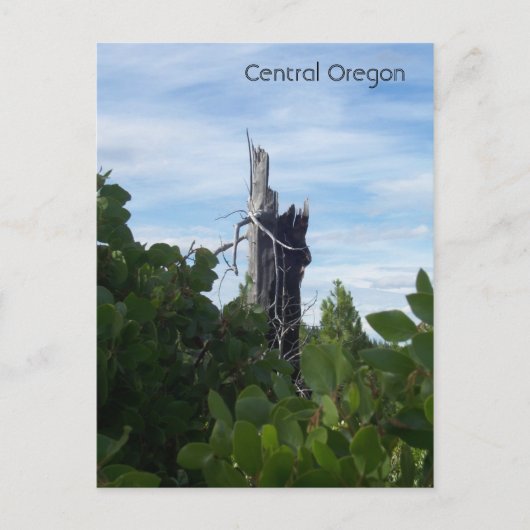 到達 ポストカード (正面)