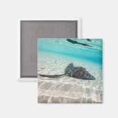 刺し線 マグネット (正面/裏面)