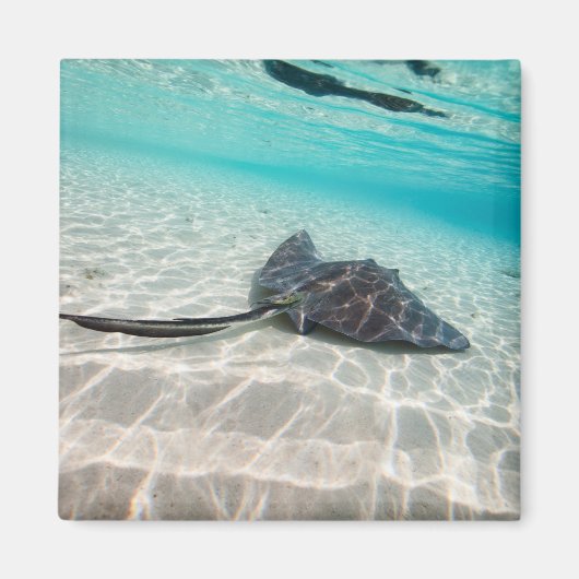 刺し線 マグネット (正面)