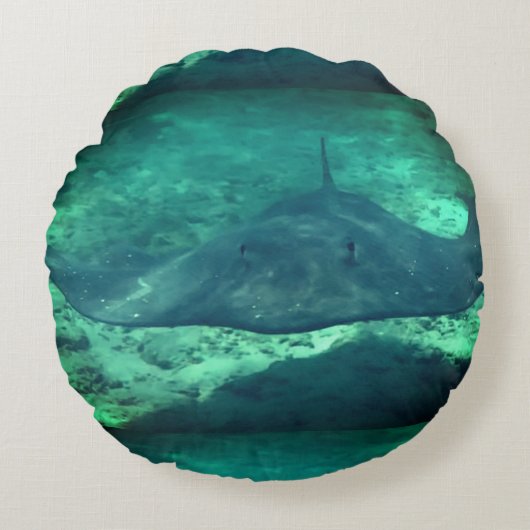 刺し線 ラウンドクッション (正面)