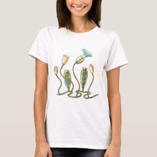 刺すようcelled動物- Campanulariida Tシャツ