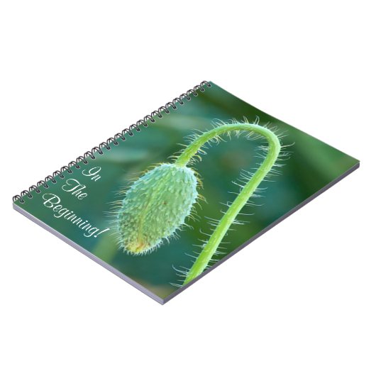 刺だらけケシの芽の進行中のクローズアップの写真 ノートブック (左側)