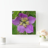 刺だらけF13アルバータの野生のバラは立上がりました スクエア壁時計 (ホーム)