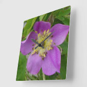 刺だらけF13アルバータの野生のバラは立上がりました スクエア壁時計 (傾斜)